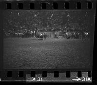 Ken Witherspoon Steer wrestling