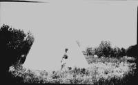 Assembling teepee Aug 1928 Arnold's Dude Ranch