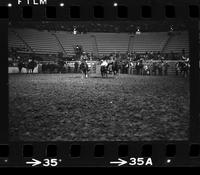 Linus Thornton Steer wrestling