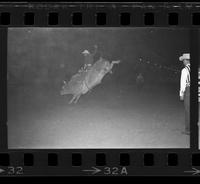 Jerry Kemp on Bull #69