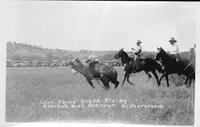 Chas. Ewald steer riding Ashland, Mont. Roundup