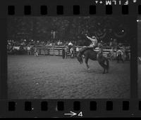 [Unknown Bareback rider]