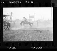 [Unknown Saddle bronc rider]