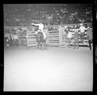 Tommy Meritt on Bull #15