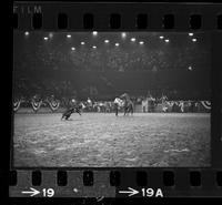 Junior Garrison Calf roping, 10.28 Sec