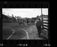 Mel Potter Calf roping