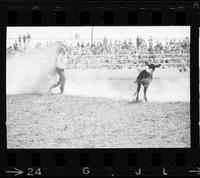 Barry Burk Calf roping, 12.9 Sec