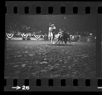 [Unknown Steer wrestler]