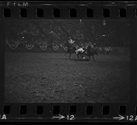 Wayne Spencer Steer wrestling, 5.41 Sec