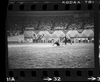 Bud Farris Calf roping