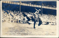 Paddy Ryan on 'Romeo' Tex Austins Rodeo, Yankee Stadium, New York