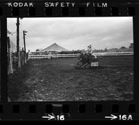 Chris Holmes Barrel racing