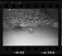 Tom LeGrande rodeo clown bull fighting