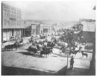 Hauling buffalo bones on the main street of Minot, N. D.