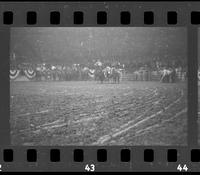 [Unknown Steer wrestler]