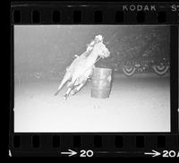 Frances Moate Barrel racing