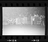 Harry Tompkins on Bull #44
