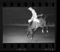 [Unknown Saddle bronc rider]