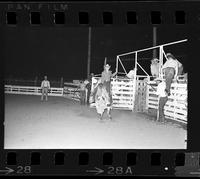 [Unknown Bull rider]