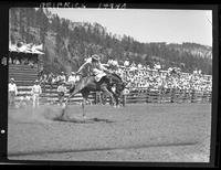 Ray Crawford   Buck Jump  (Aussie)