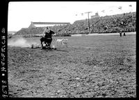 Geo, Richmond Calf Roping