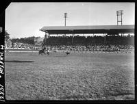 Joey Begevin Calf Roping