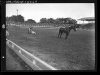 Bill Harlan Steer Roping