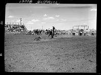 Frank Santas Calf Roping