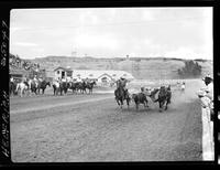 Bud Pilcher Steer Wrestling