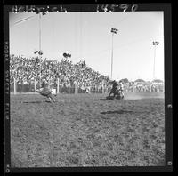 Bobby Goodspeed Calf Roping