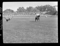 Joe Bergevin Steer Roping