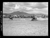 Bill Steppe Calf Roping