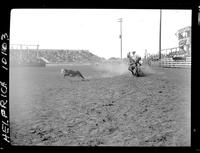 Glen Hone Calf Roping