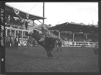 Deb Copenhaver on Smokey