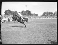 Jim Roeser on Brown Bomber