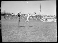 Jay Sisler  (Hound jumping on hind feet)