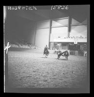 Doyle Cobler Steer Wrestle