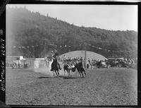 Glen Tyler Steer Wrestling