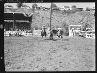 Delbert Pack Steer Wrestling