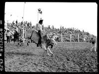 Tom Downey on Gentleman Jim