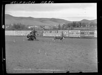 Bill Anderson Calf Roping