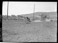 Larry Wyatt Calf Roping