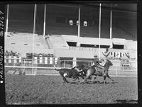 Tater Decker Steer Wrestling