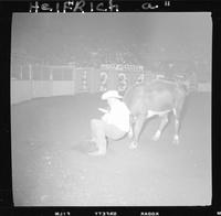 Steer Wrestling and Chute Gate pics