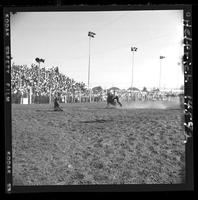 Jake Bogard Calf Roping