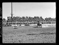 Fred Darnell Calf Roping