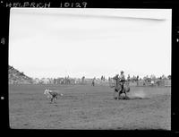 Barney Willis Calf Roping