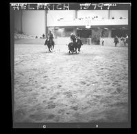 Jim Tescher Steer Wrestle