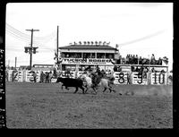 Allen Houston Steer Wrestling