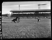 Troy Fort Calf Roping